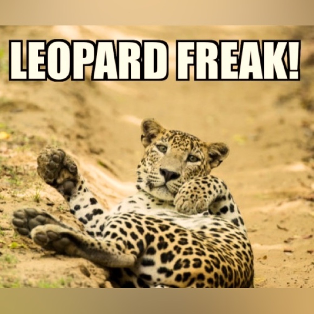 You got Leopard? I’ll share it! Cause I got Leopard Everything!